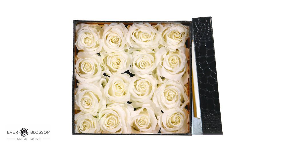 everblossomsas's tweet photo. Roses 🌹are so beautiful and why not keep them for a long time ....💕 #roses #flowers #rose #love #canada #toronto #flower #photography #florist #bouquet #art #wedding #beautiful #montreal #vancouver #nature #vancity #torontoflorist #naturephotography #ottawa https://t.co/9HqyuHyd9w