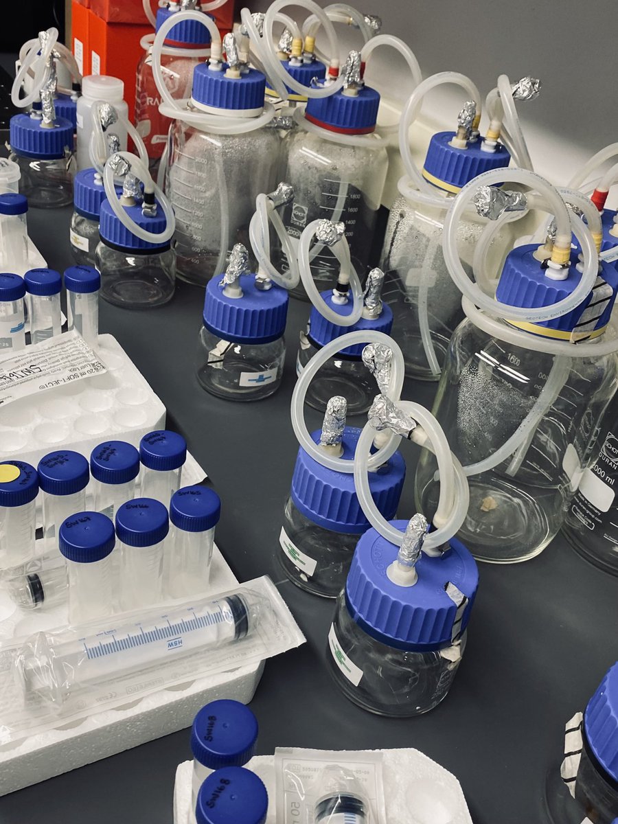 Solize Oosthuizen (Vosloo) tweet media