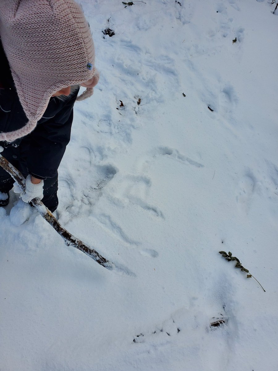 anhk146's tweet photo. A blank snowy canvas made literacy outside more exciting! #printingpractice✏ #letitsnow❄ #thisisnotastick @scdsboutdoors @SCDSBLiteracy @SCDSBey @AndrewHunterES https://t.co/LTgCAPt7pE