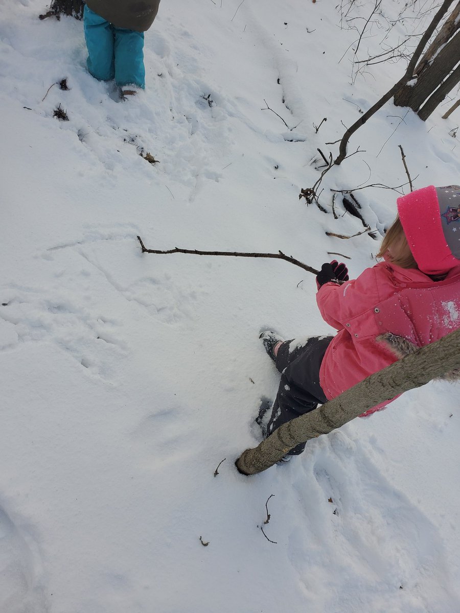 anhk146's tweet photo. A blank snowy canvas made literacy outside more exciting! #printingpractice✏ #letitsnow❄ #thisisnotastick @scdsboutdoors @SCDSBLiteracy @SCDSBey @AndrewHunterES https://t.co/LTgCAPt7pE
