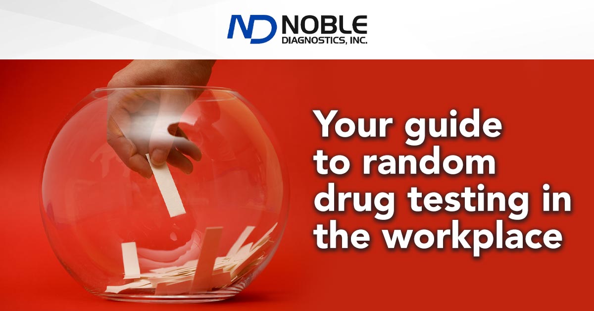 NobleDiagnostic's tweet photo. Knowing when and how to conduct random drug and alcohol tests of existing employees is critical to maintaining a safe and productive workplace. Here's what you need to know. https://t.co/neOTtg60Wy #drugtesting #randomtesting https://t.co/fojpPT1fG7