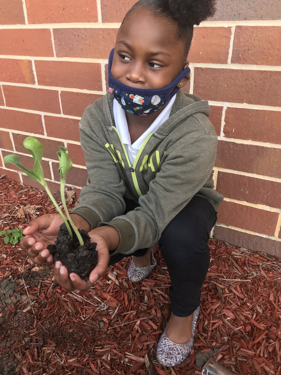 Nancy Bourne tweet media