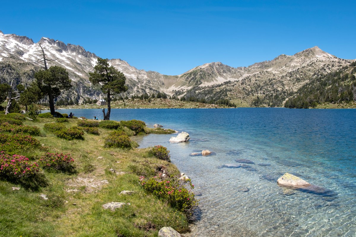 P1 de ma première participation à la #battlephoto 'L'univers montagnard'

Les eaux limpides des lacs de la réserve du Néouvielle. Une randonnée super agréable ! 🧡🧡