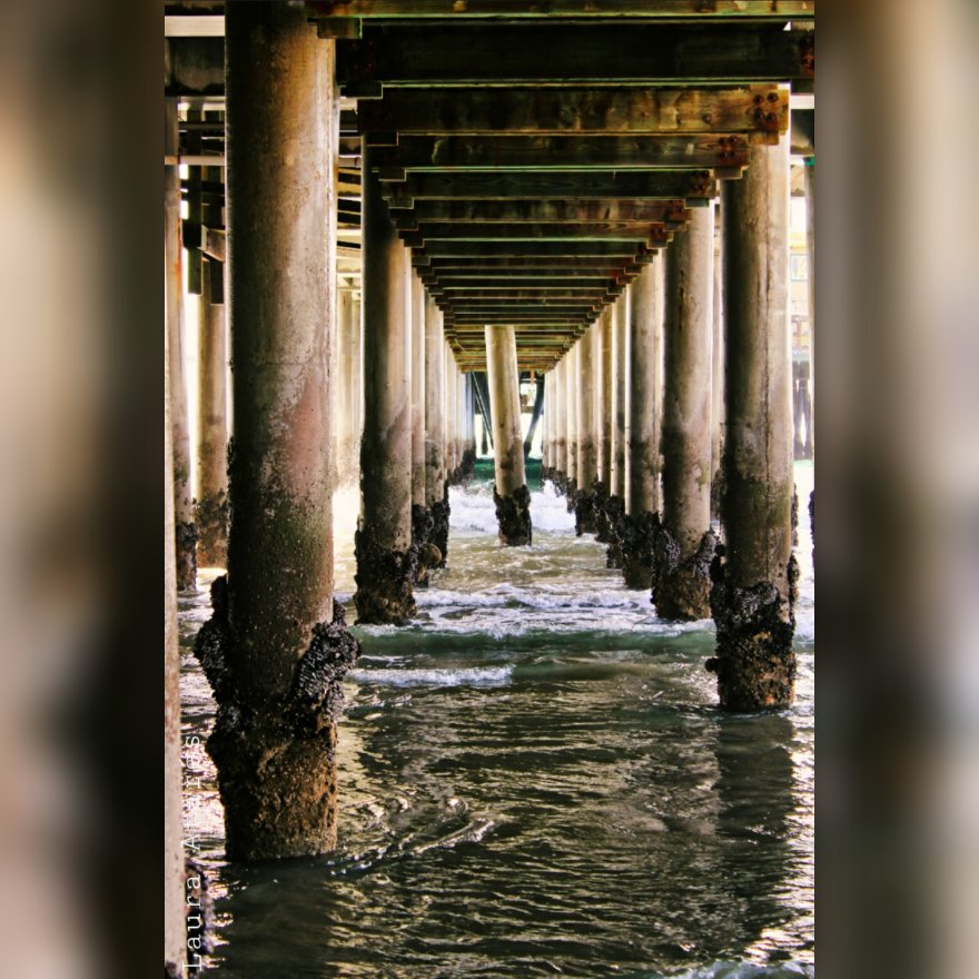 My kind of pierfection 
#shotonlexar #canonphotography #viewbug #pierpressure #southbaymagazine #wondermore #beachphotography #tufotonatgeo #visitcalifornia #canonespaña #santamonica #santamonicapier #piers #frame #luminar #loweprocapturelife #southbaylife
instagram.com/p/CHs0rb_g0JF/…