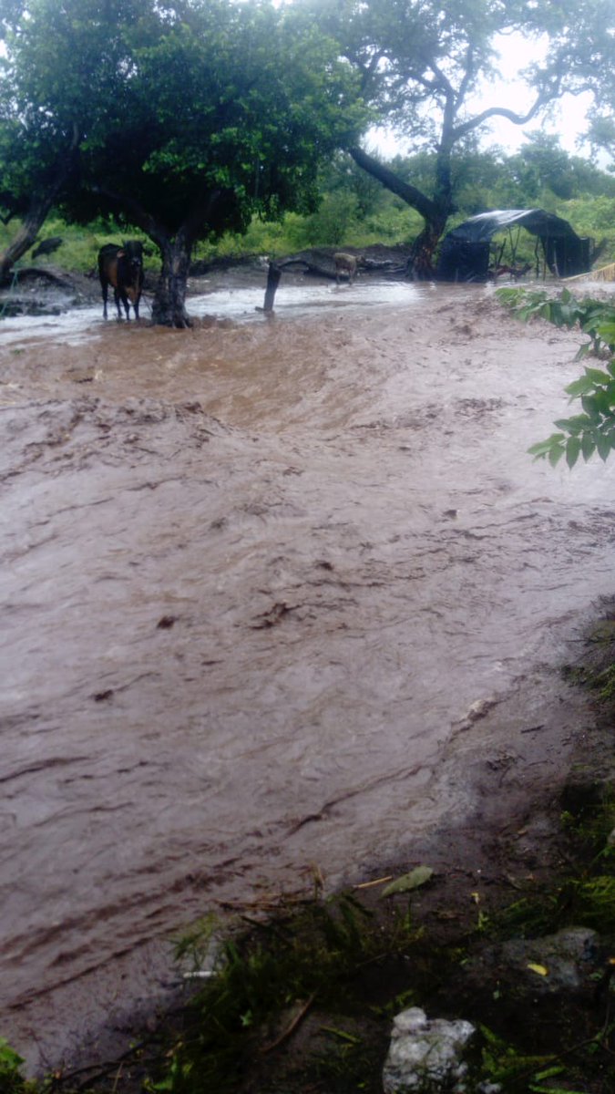 nuevaya's tweet photo. Imágenes correspondientes al sector de la La trinidad Norte, en Ciudad Sandino #HuracanIOTA https://t.co/GctFeL5ByS