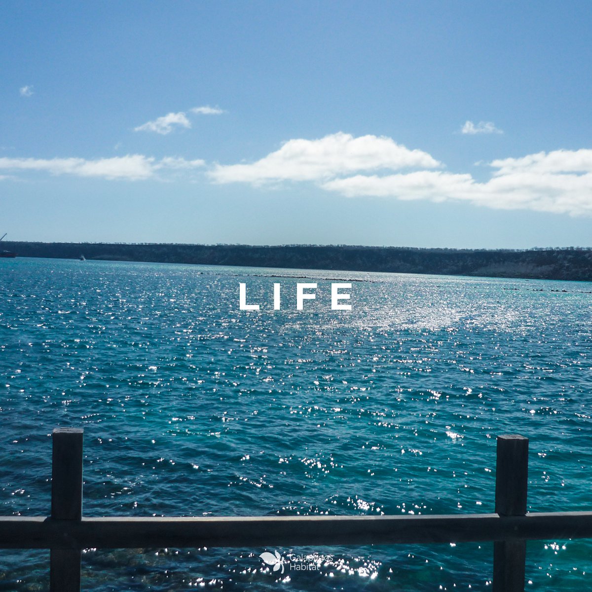 Water is a very important element in all cultures, it`s where life emerges.
.
.
SIMBOLS OF NATURE
 #ocean #galapagos #ecuador #ecolodge #climate #ecotravel #ecotraveller #travelling #southamerica #tours #expedition #experienceunique #theluxurytraveller #luxury #ecofriendly