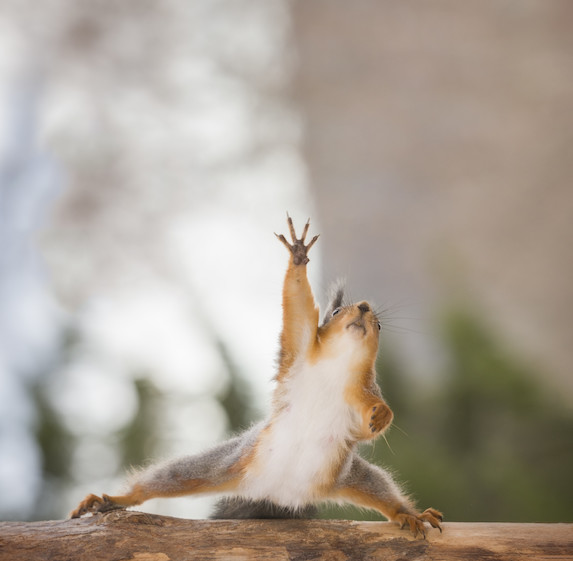 TorontoExecuNet's tweet image. When was the last time your career got you THIS excited?