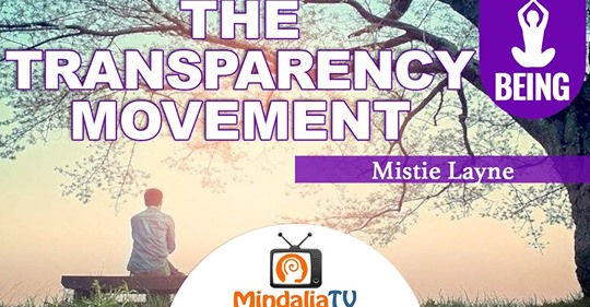 dan007blanchard's tweet image. Check out this great Mindalia TV Show I did with Mistie Layne on &quot;The Transparency Movement.&quot;

Click here now to see it: 

youtube.com/watch?v=vv888d… @dan007blanchard #MistieLayne #MindaliaTV #TransparencyMovement