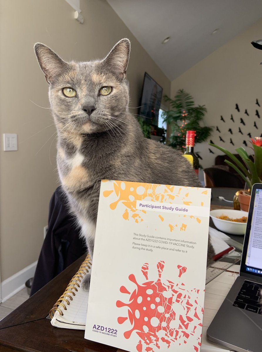 The screening was similar to getting a typical check-up. They ask about your health history, current prescriptions, etc. They draw blood samples for labs and take your blood pressure. Nose swab for a COVID test, obvs. Ladies: be ready to pee in a cup. Here's my cat w/ the packet