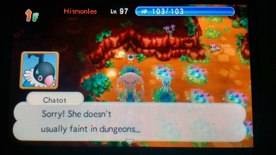 Chatot Pokemon Mystery Dungeon