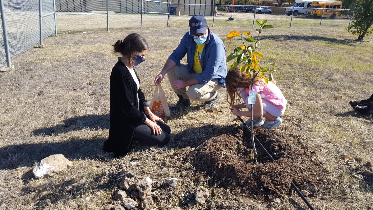 MarquezEducator's tweet photo. Words can't describe what planting an orchard of 40 trees and distributing 60 trees to the @ElSunsetValley community feels like. Access to fresh fruit for generations to come, lots of learning, and opportunity to reconnect with Earth. Thanks to @SunsetValleyPTA Taylor Gutierrez! https://t.co/aDmqFF9RAS