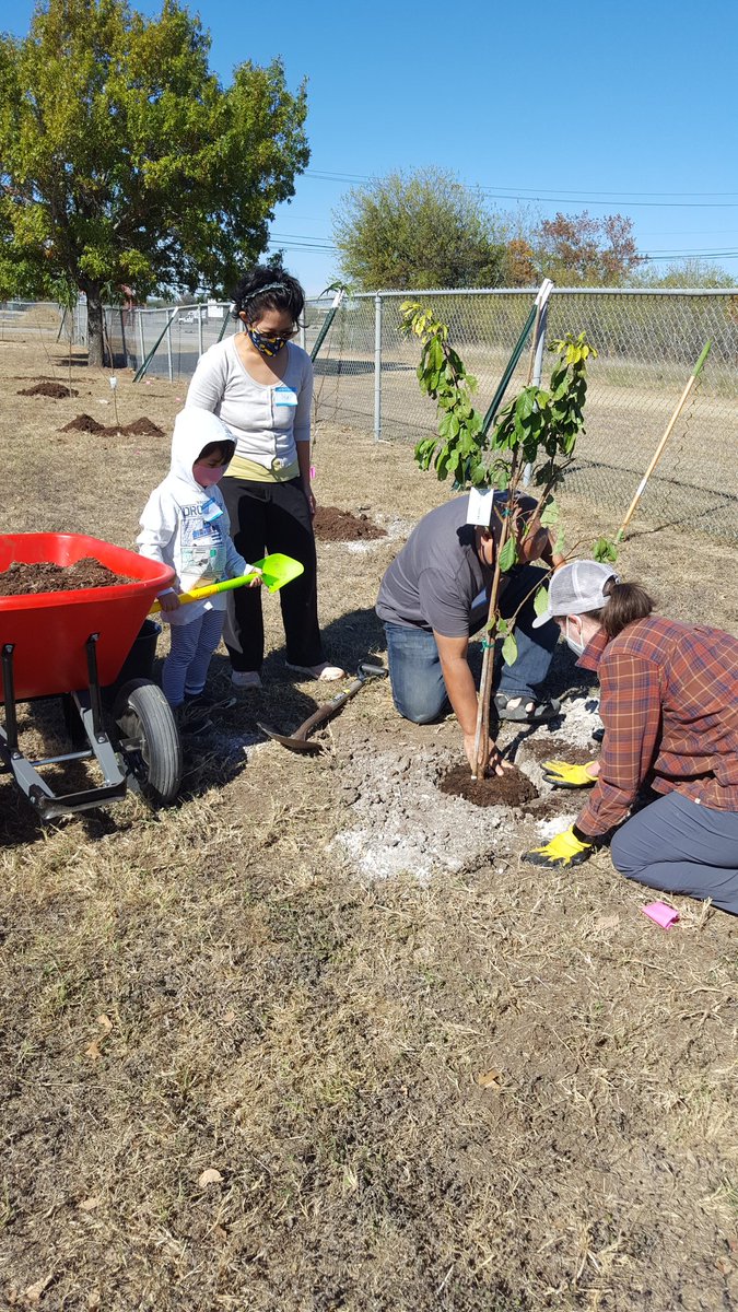 MarquezEducator's tweet photo. Words can't describe what planting an orchard of 40 trees and distributing 60 trees to the @ElSunsetValley community feels like. Access to fresh fruit for generations to come, lots of learning, and opportunity to reconnect with Earth. Thanks to @SunsetValleyPTA Taylor Gutierrez! https://t.co/aDmqFF9RAS