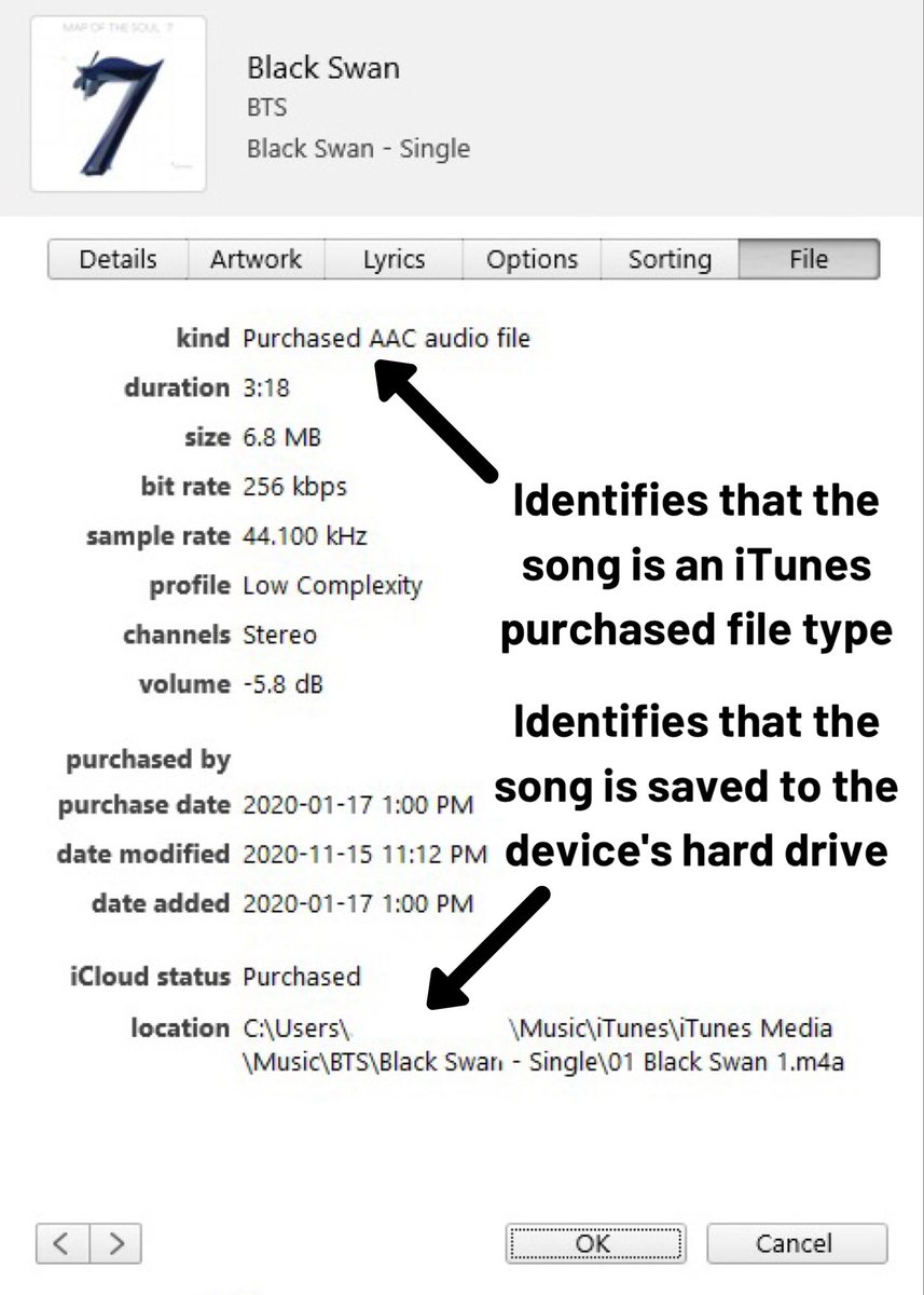 The way you find out on macOS devices (night mode) and Windows/PC devices (day mode) is the same!Click ••• > click 'Get Info' > Click 'File' tab to view file information