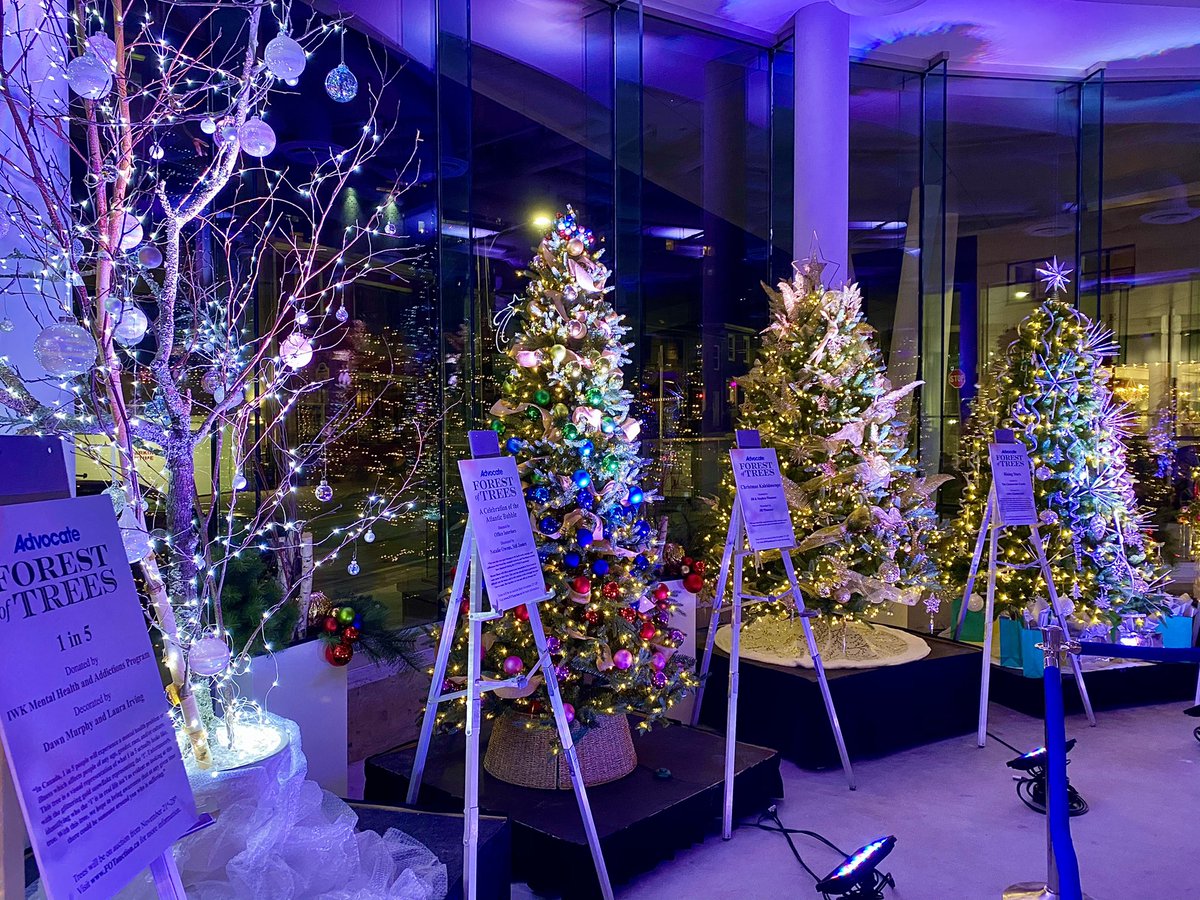 KateUdle's tweet photo. Looking to get in the Christmas spirit? Come visit the Forest of Trees at #TheDoyle, in support of @MentalHealthNS! https://t.co/edvA8hZt99