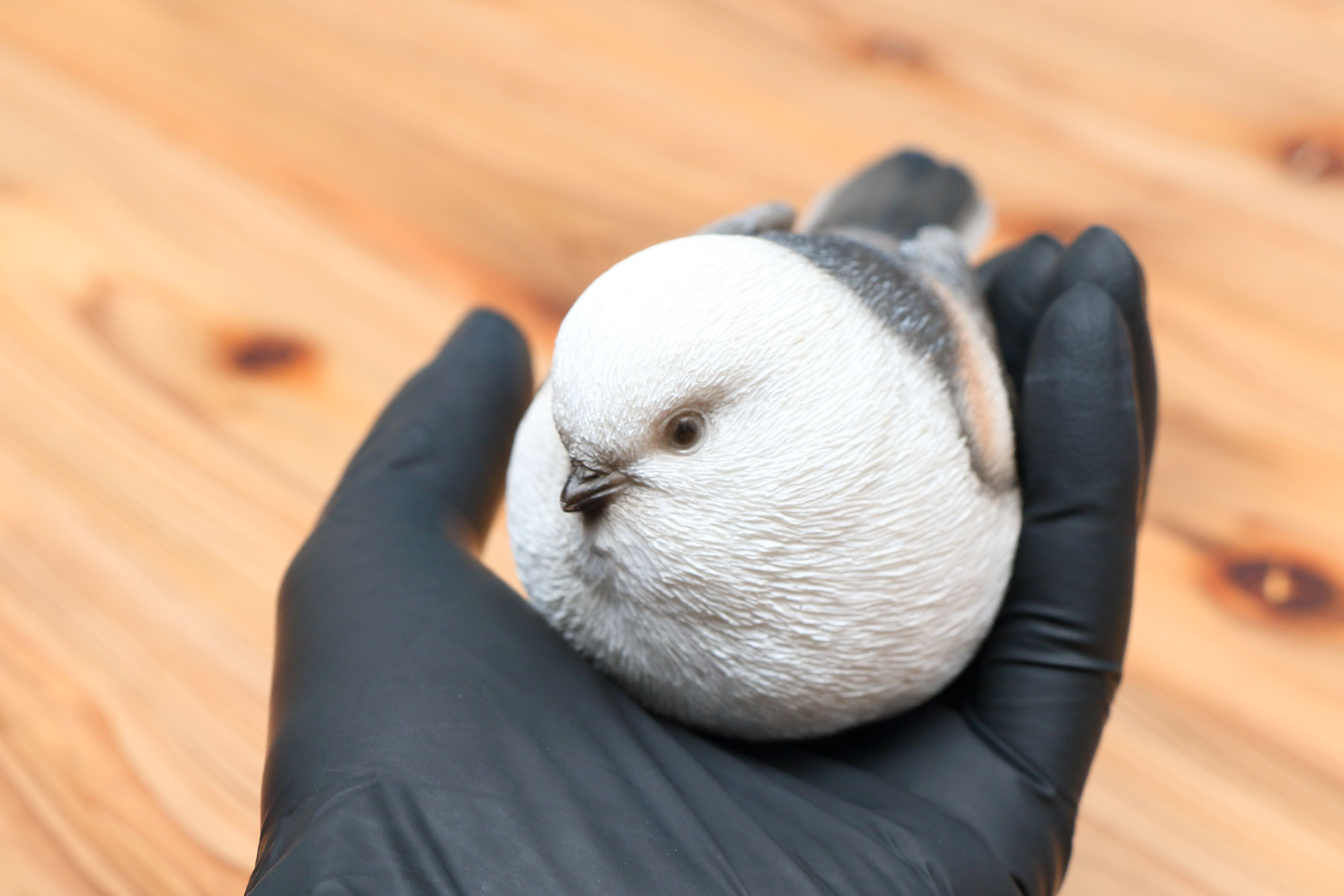 手乗りシマエナガ