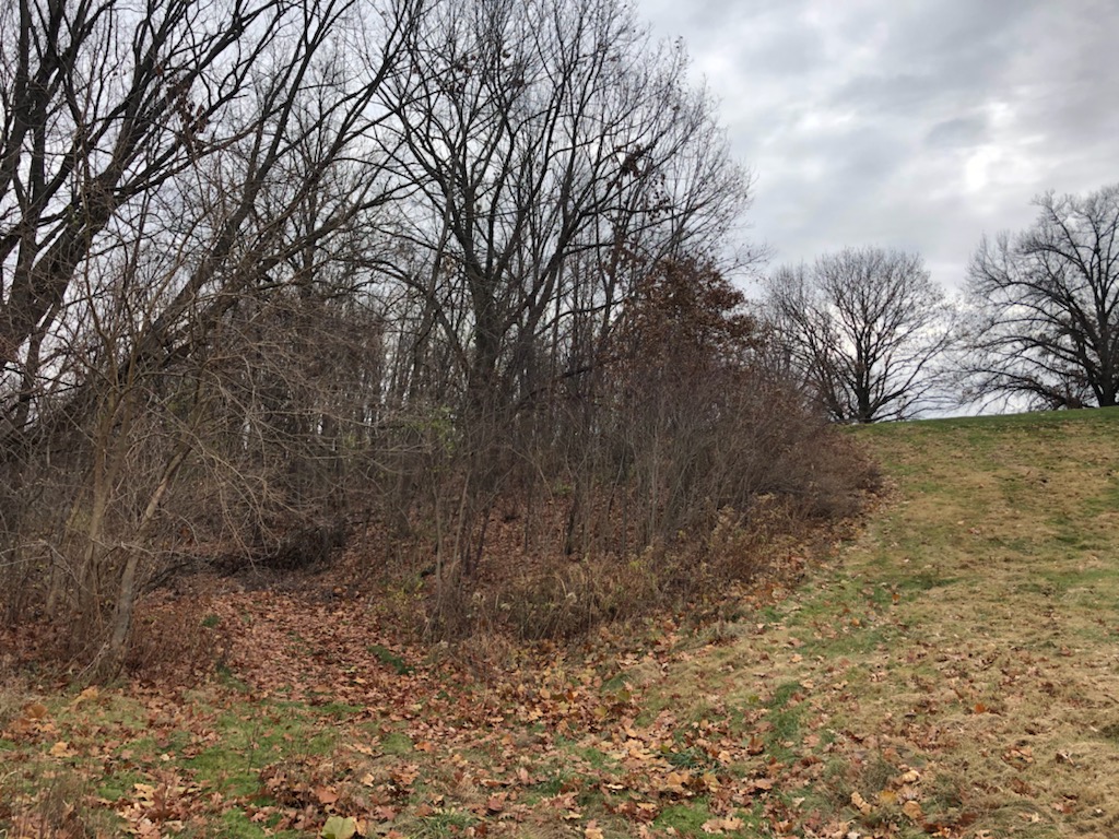 SuperTimG132's tweet photo. Last before and afters!!! Will be able to see the right green on #13 from the right side of the tees and will make left of #14 a no mow area instead of thicket and overgrowth. Now for weed control in these areas 🤔🤔🤔 #openforsuggestions https://t.co/3ahDNewm7a