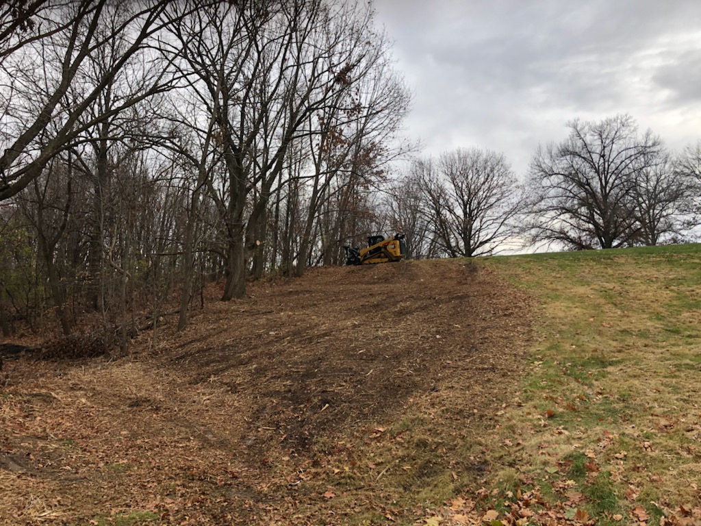 SuperTimG132's tweet photo. Last before and afters!!! Will be able to see the right green on #13 from the right side of the tees and will make left of #14 a no mow area instead of thicket and overgrowth. Now for weed control in these areas 🤔🤔🤔 #openforsuggestions https://t.co/3ahDNewm7a