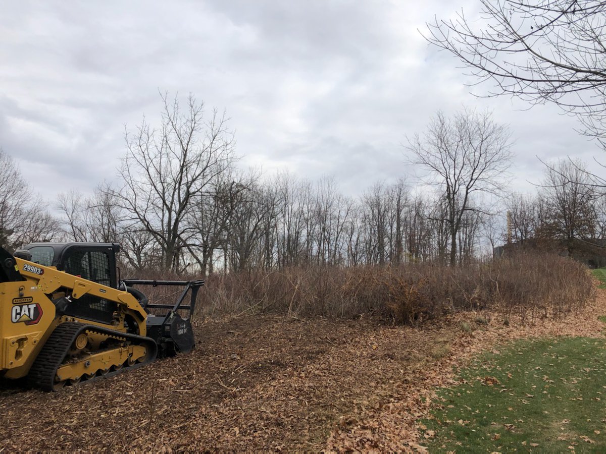 SuperTimG132's tweet photo. Last before and afters!!! Will be able to see the right green on #13 from the right side of the tees and will make left of #14 a no mow area instead of thicket and overgrowth. Now for weed control in these areas 🤔🤔🤔 #openforsuggestions https://t.co/3ahDNewm7a