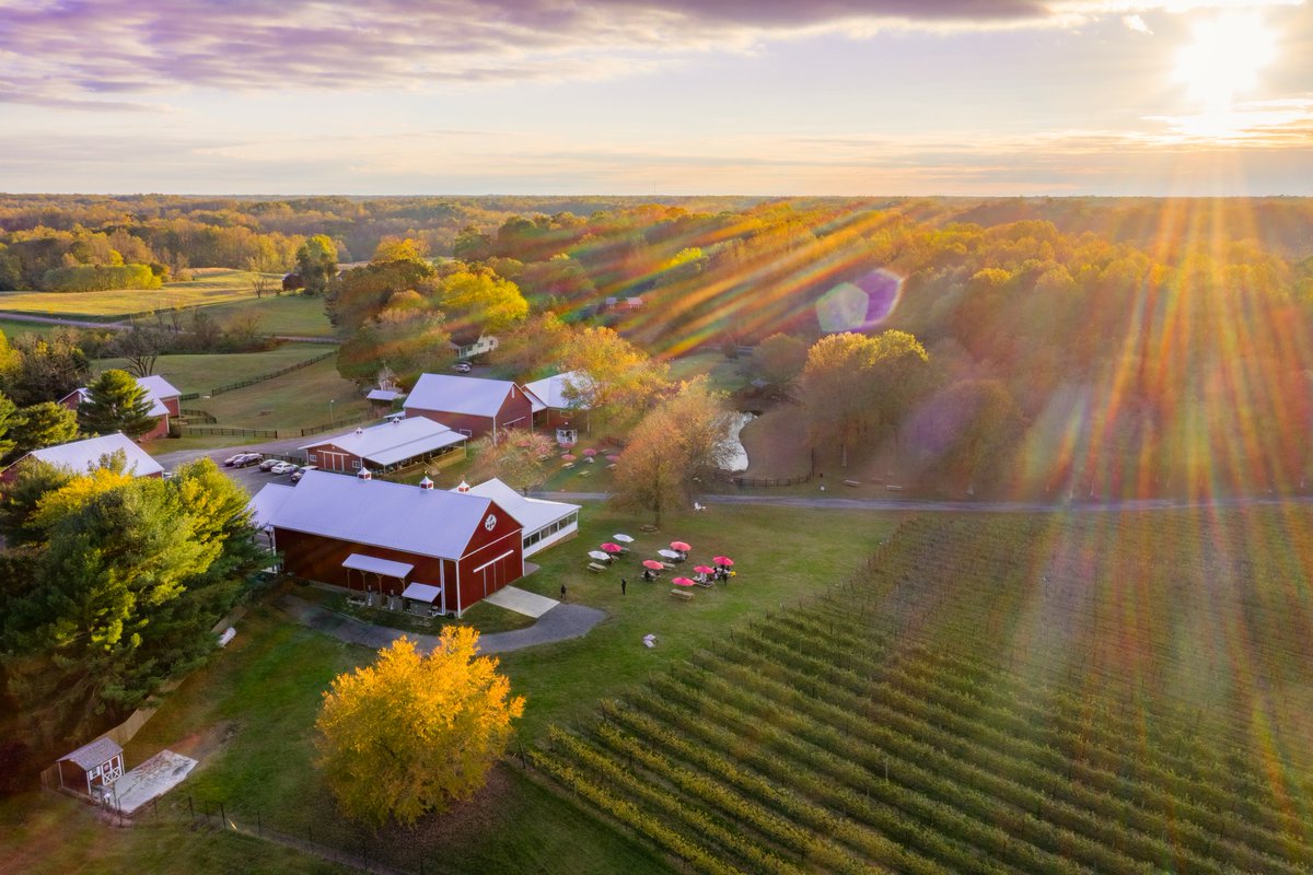 mooreorlesspics's tweet photo. Cloudy skies eventually break away. In this case it broke away at right at golden hour. 
#mooreorlesspics #photooftheday #fall #fall2020 #pmfallgridchallenge #maryland #marylandphotography #robinhill #skybangerz #fallcolors🍁🍂 #robinhillfarmandvineyards #droneoftheday #drones https://t.co/x1BDbnc25f