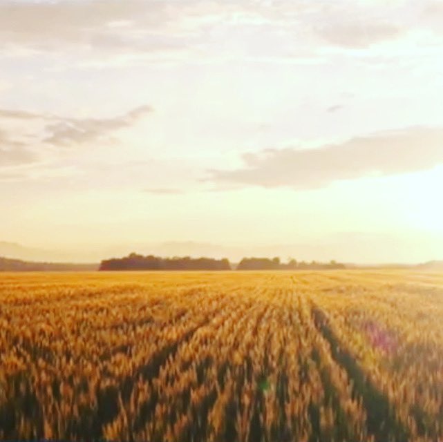 감사는 형통의 지름길입니다.. 

“여호와께 감사하라 그는 선하시며 그 인자하심이 영원함이로다”(시 107:1)