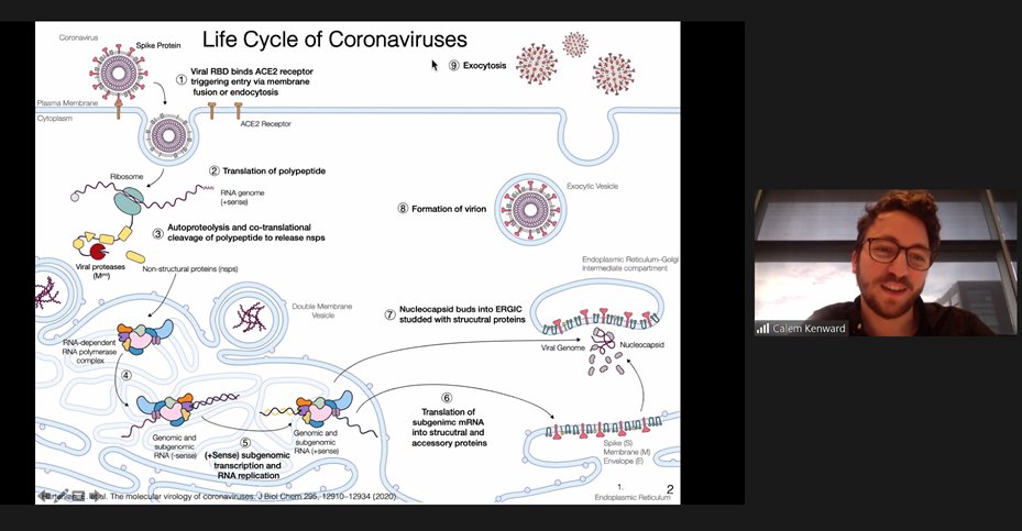 CBR_UBC's tweet photo. Wonderful to hear our last trainee presentations this afternoon!
Over the course of their talks, Calem Kenward of the #StrynadkaLab, Imane Boukhatem (@ImaneBoukhatem), & Wayne Zhao (@Ailith12) of the #DevineLab shared research on #platelets, #COVID19 and much more.
12/n https://t.co/58myDPMym7
