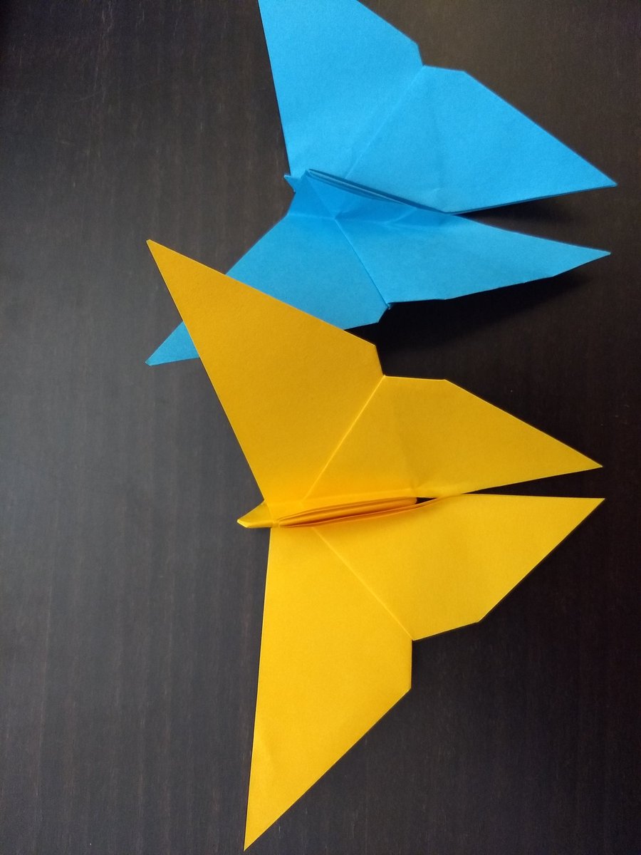julia_leone's tweet photo. Thanks, Jeff @true_bug, for the #EntoFold creative break from the talks at #EntSoc20! Happy with my oragami butterflies (although I made do with regular paper) https://t.co/8xON94lq4J