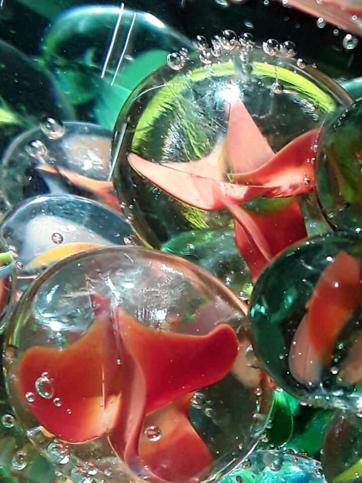 MyArtshack's tweet photo. ‘What I love about marbles is the effects of light. Reflection, refraction, distortion. I immersed the marbles into liquids with different densities, like glycerol and even carbonated water! I will use these as a starting point’
Artshack member Audrey Wyle #marbleschallenge 🙂 https://t.co/5yHmhD1V2I