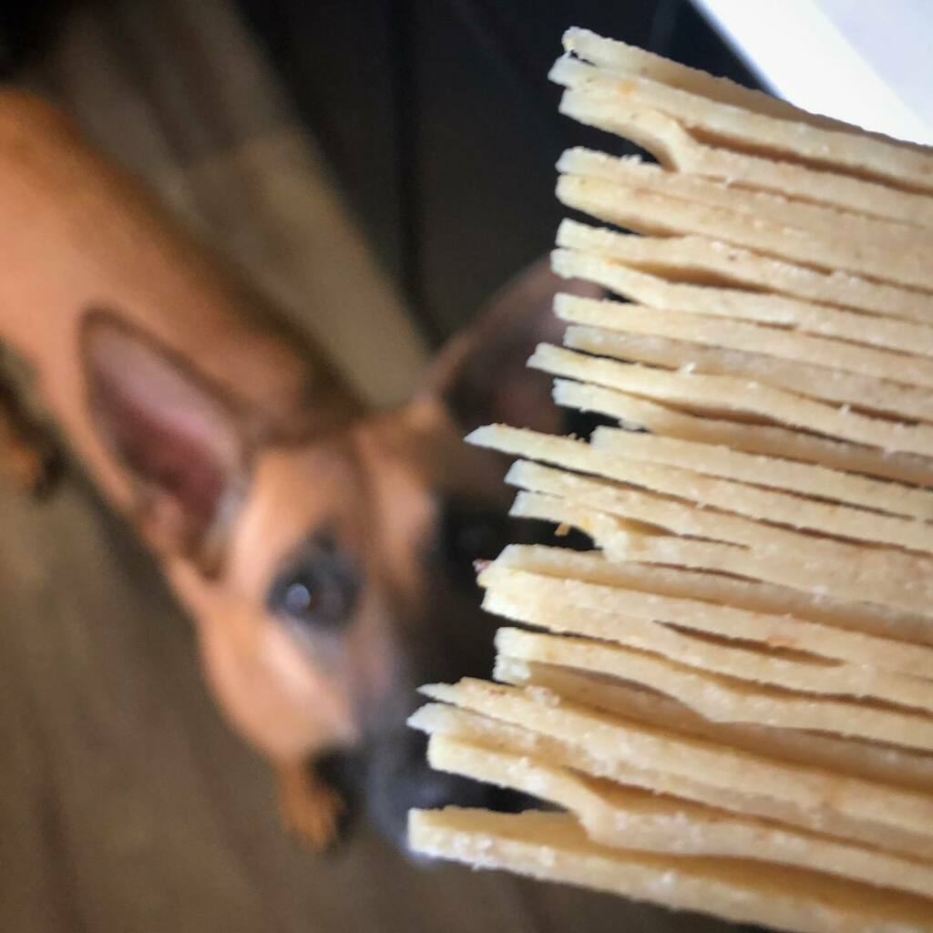 Veg_Ezy_'s tweet photo. Making fresh tortilla chips. Shiloh is never far from me, even when I am in the kitchen. She is a very curious pup. #freshchips #corntortillas #freshisthebest #puppy #belgianmalinois #dogsofinsta #chipsofinsta #mexicanfood https://t.co/NLeGsjjzy2