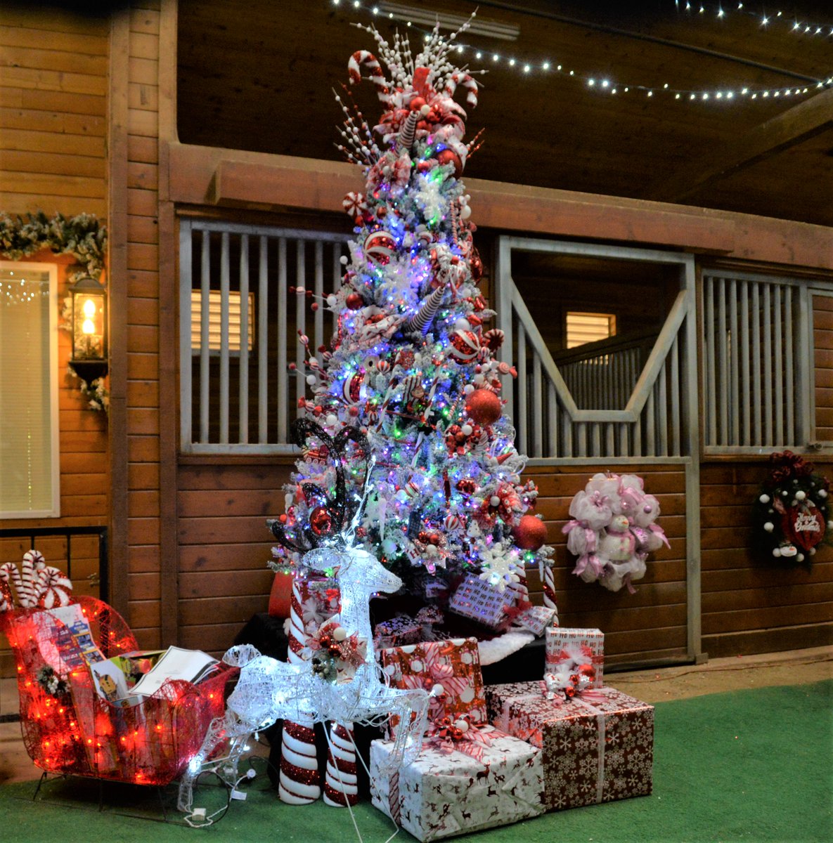 DSOSN's tweet photo. Obsessed with candy canes? Check out this awesome Candy Cane Package designed by @LVTherapyBlocks! Together with a few special needs kids &amp; some amazing volunteers, they put together this gorgeous tree to represent the kids’ favorite thing to earn this time of year: candy canes! https://t.co/IFYZJr1K0c