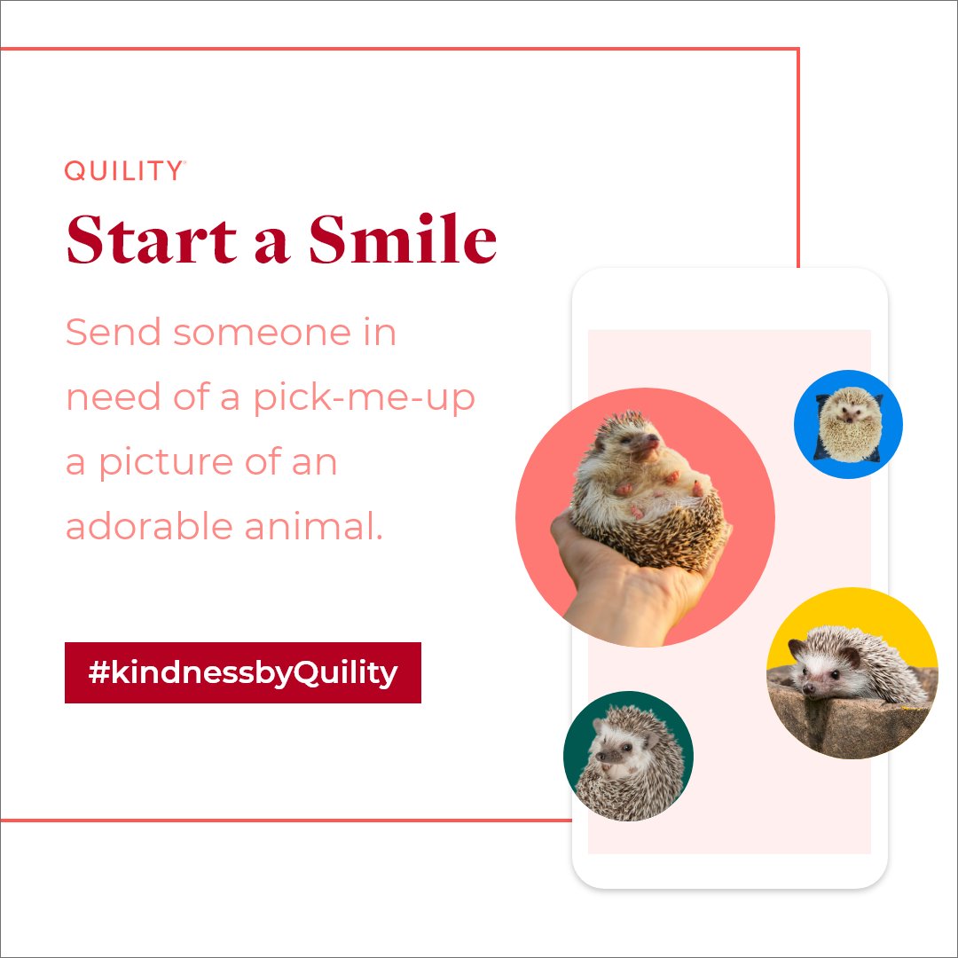 QuilityI's tweet photo. C’mon...we know you have endless photos of your pet saved on your phone. If you don’t, we got your back, just tag a friend below to share ours. #kindnessbyQuility https://t.co/Iixc39KWk2
