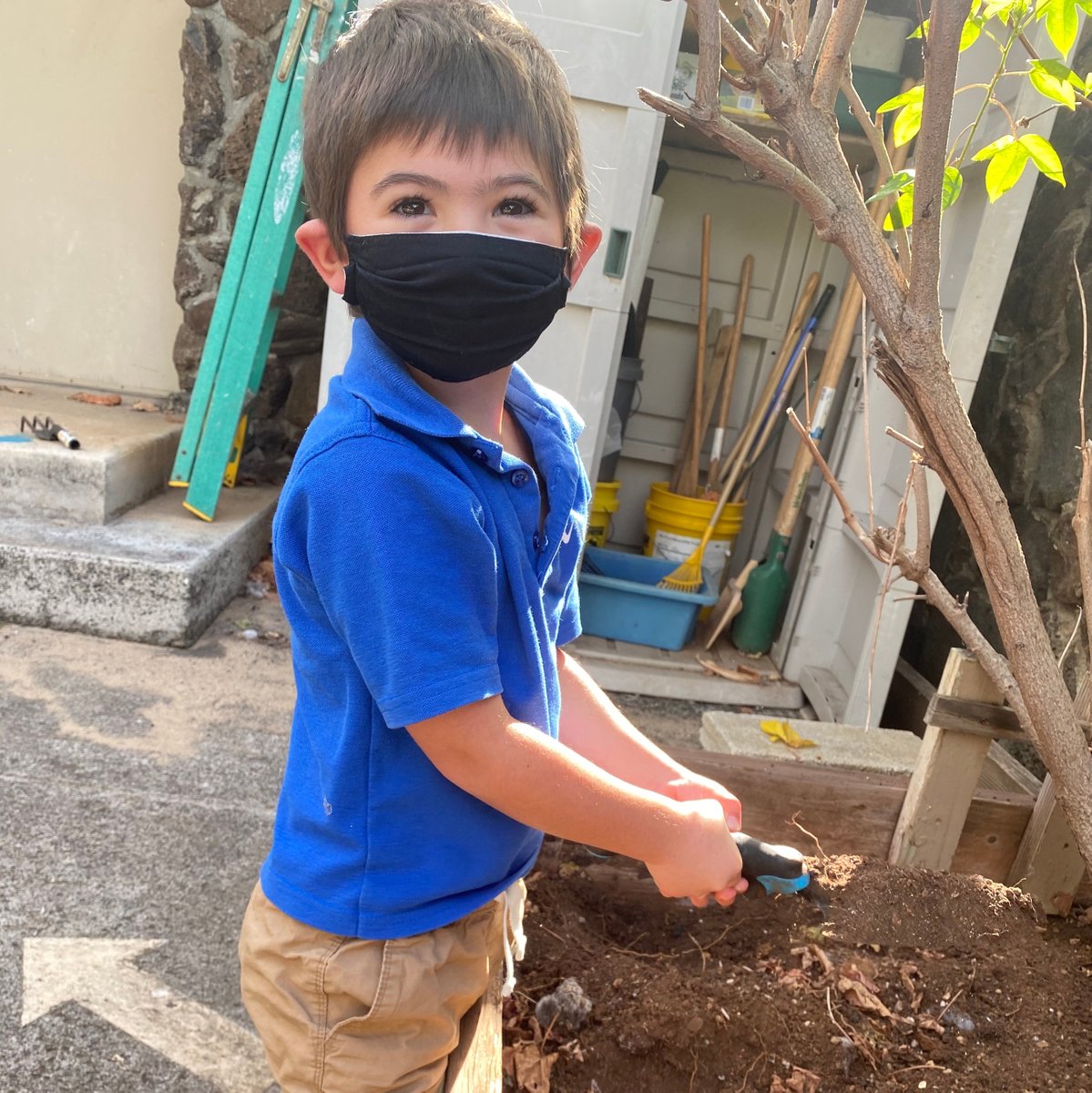 HolyNativity's tweet photo. #VirtualTourTuesday provides a sneak peek of our gardens. Here's Pre-K enjoying all that nature has to offer...right in our school backyard.
Schedule a virtual tour today at https://t.co/akqIqr9IF9.
#SchoolGarden #VirtualCampusTour #CampusHighlights #HNS #HolyNativitySchool https://t.co/TNho9zzMAG