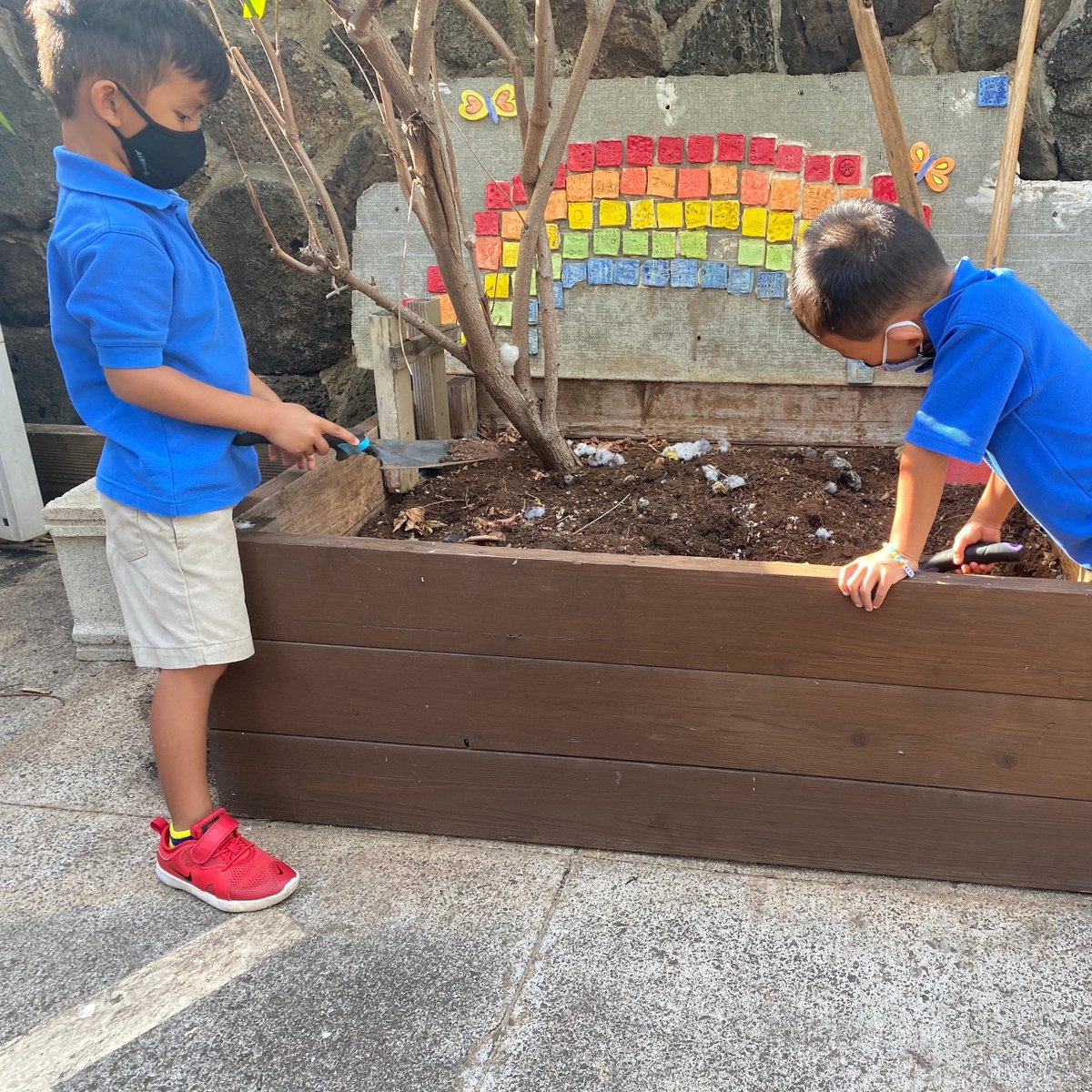 HolyNativity's tweet photo. #VirtualTourTuesday provides a sneak peek of our gardens. Here's Pre-K enjoying all that nature has to offer...right in our school backyard.
Schedule a virtual tour today at https://t.co/akqIqr9IF9.
#SchoolGarden #VirtualCampusTour #CampusHighlights #HNS #HolyNativitySchool https://t.co/TNho9zzMAG