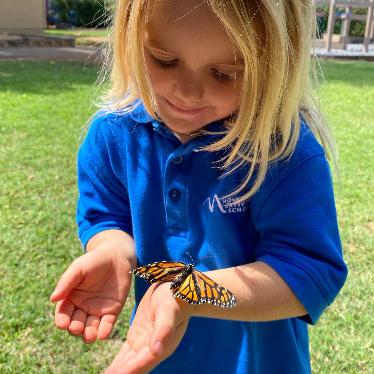HolyNativity's tweet photo. #VirtualTourTuesday provides a sneak peek of our gardens. Here's Pre-K enjoying all that nature has to offer...right in our school backyard.
Schedule a virtual tour today at https://t.co/akqIqr9IF9.
#SchoolGarden #VirtualCampusTour #CampusHighlights #HNS #HolyNativitySchool https://t.co/TNho9zzMAG