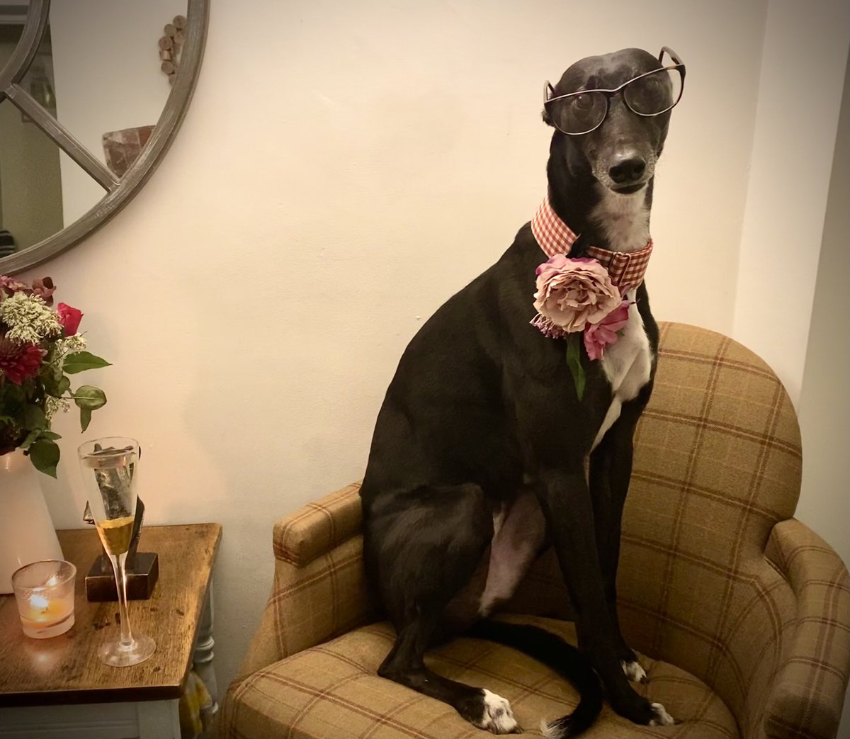 Countrywide Hearing tweet media