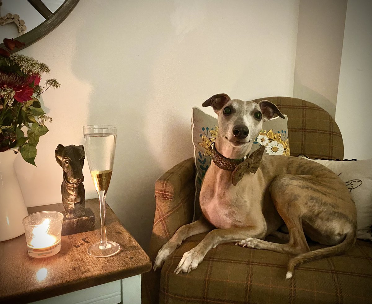 Countrywide Hearing tweet media