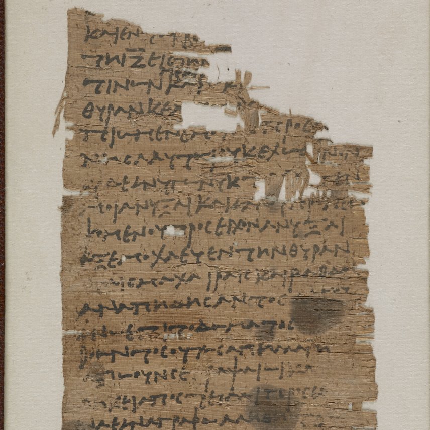 peter toth tweet media