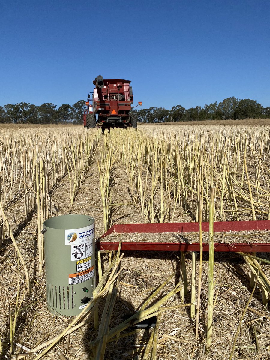 Recommend taking the time to measure your losses. Both 1688 &amp; 2388 had losses of 8-10%. Did 4-5 test on each machine and after a few easy adjustments both are now at 1.5-2.5% losses. <a href="/harvestloss/">harvestloss</a> <a href="/BushelPlus/">Bushel Plus 🌾</a>