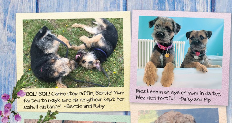 MistaHippyDalek's tweet photo. Pals, the BT Posse 2021 calendar is available for order!
https://t.co/w4hAl1MfDk
Many, many thanks to Feelwells for generously giving so much of their time and labor for this cause for paws! All calendars mailed in the UK come with a free bag of treats! https://t.co/yLwedXikWm