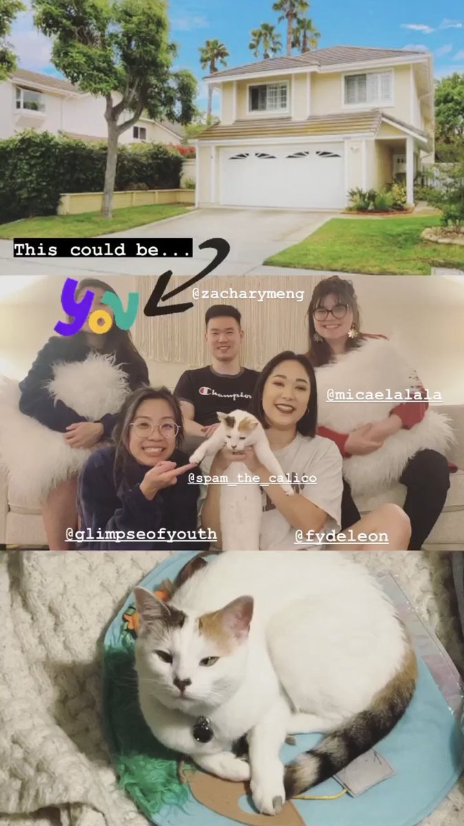 franma. she/her. tweet media