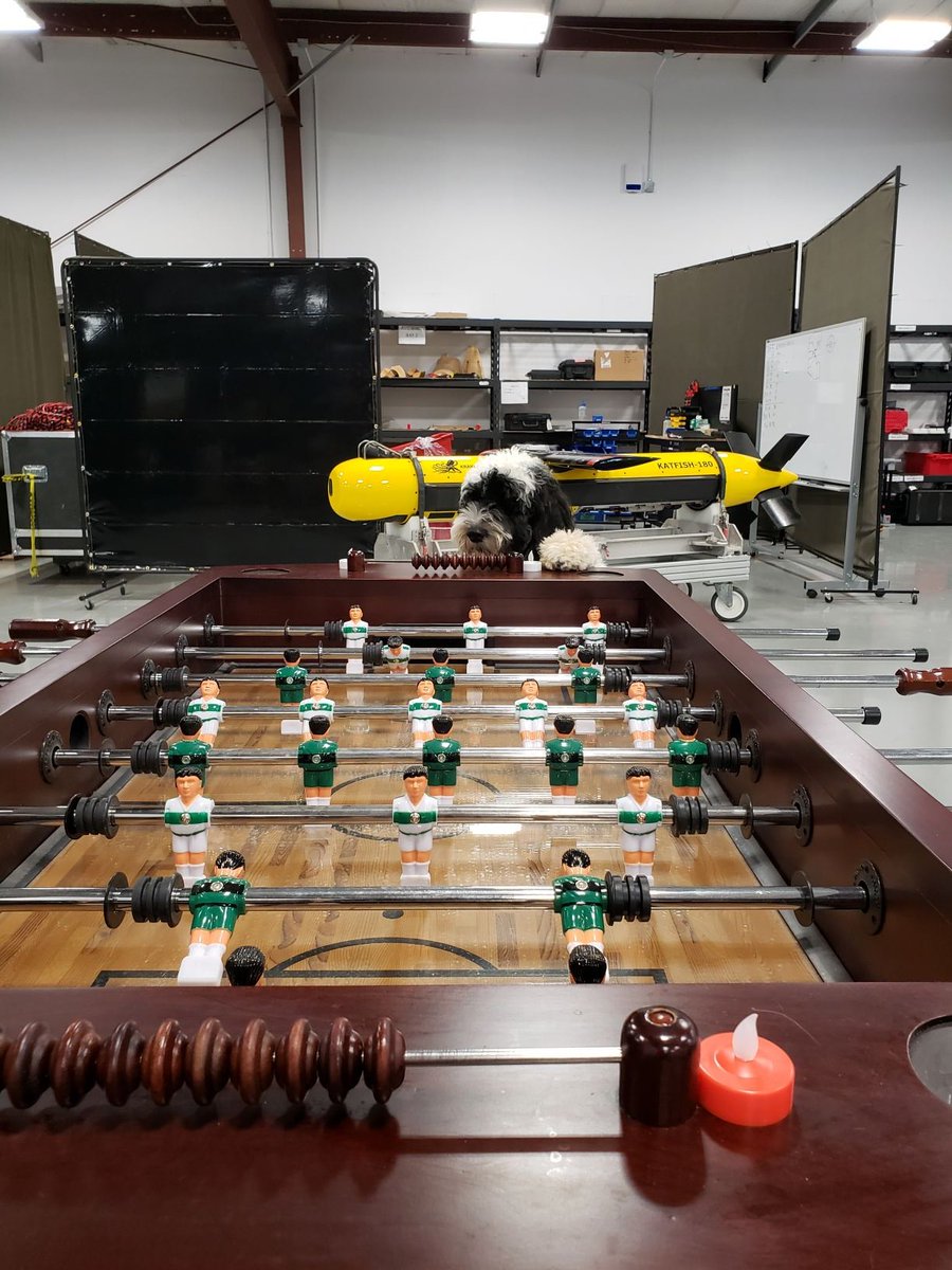 KrakenRobotics's tweet photo. Ever feel like the office is going to the dogs?! Certainly felt that way today when @RNC_Stella showed up! Stella is the 1st Police Support Doggo in #Newfoundland and she graced us all with her presence today! Thank you @RNC_PoliceNL to popping in! 

#WhosAGoodGirl #Boop! #SheWon https://t.co/3veTUvg3Rn