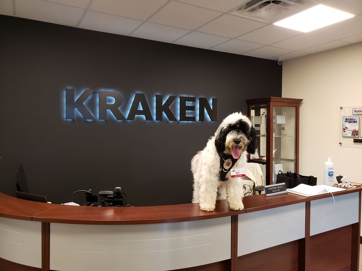 KrakenRobotics's tweet photo. Ever feel like the office is going to the dogs?! Certainly felt that way today when @RNC_Stella showed up! Stella is the 1st Police Support Doggo in #Newfoundland and she graced us all with her presence today! Thank you @RNC_PoliceNL to popping in! 

#WhosAGoodGirl #Boop! #SheWon https://t.co/3veTUvg3Rn