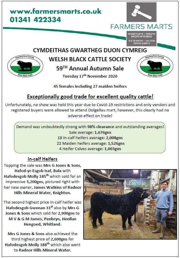 Welsh_Blacks's tweet photo. Excellent trade throughout today @farmersmarts123 !
#welshblacks https://t.co/xuJbjbv5l7