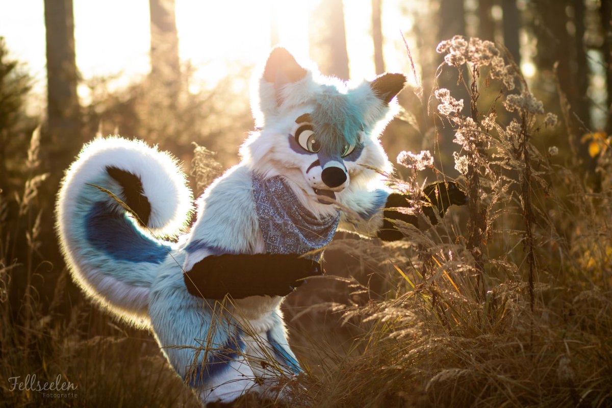 NavariCreation's tweet photo. The results of the fursuit-shooting with @AuriFusky last Sunday. 🐾
Bookable shootings will be available in 2021.

Channel: https://t.co/QnhuVGXh6G https://t.co/qwhaQIAhbM