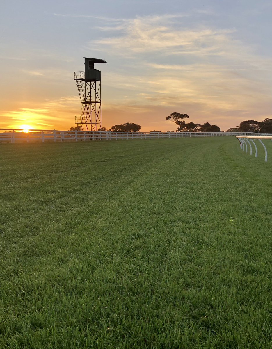 AidanLJolly's tweet photo. Mornington Track Update 🐎
Rated a Good 4 
Rail - 4m 
Irrigation 24 Hrs @ 10mm
Irrigation 7 Days @ 38mm
Rainfall 4mm over 7 Days
Going Stick - 9.4 
Shear - 11.7
Soil Moisture 36% https://t.co/04h9GJpVlQ