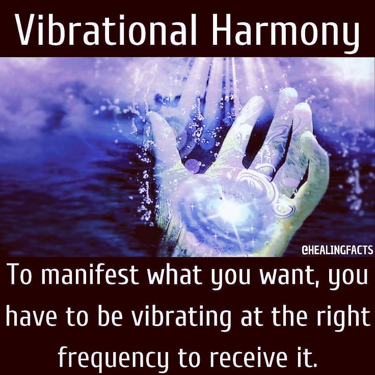 _embracechange's tweet image. Connect to manifest. #liveinbalance #knowyourpower #tuesdayvibe 
🔗 linktr.ee/bluskyretreats