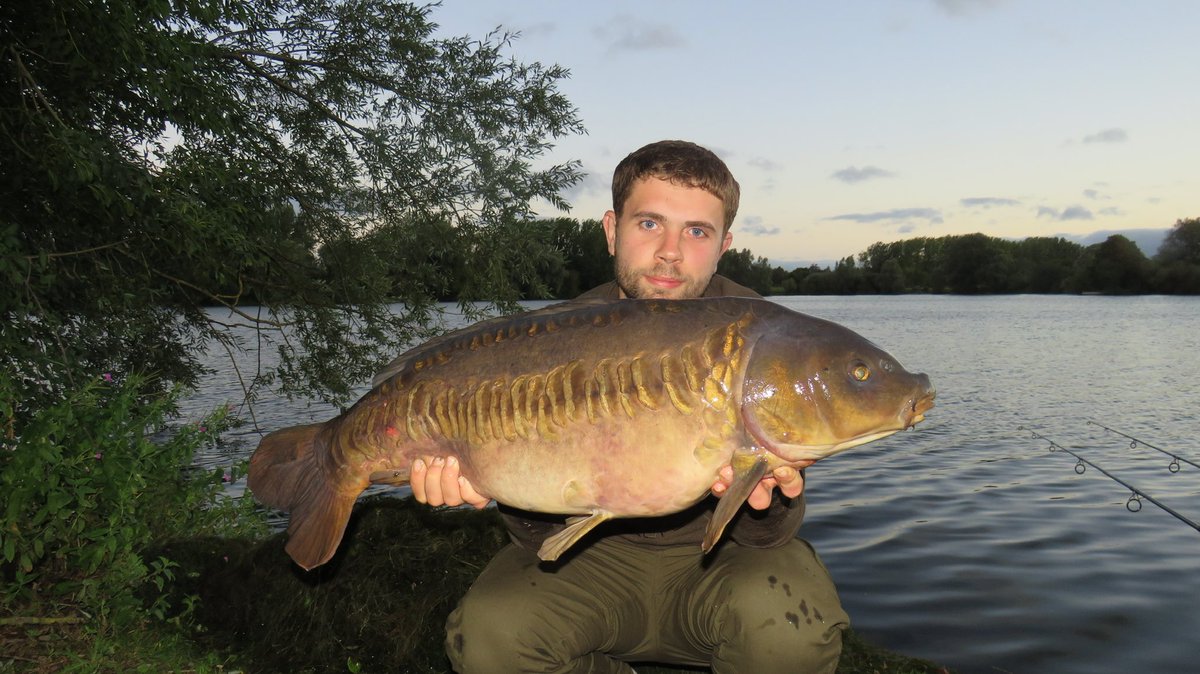 CarpFletcher's tweet photo. Another shot ๐ธ of this old warrior caught from horseshoe lake this year. #CarpFishing #Leneys @TheCarpSociety https://t.co/xg9JFDse59