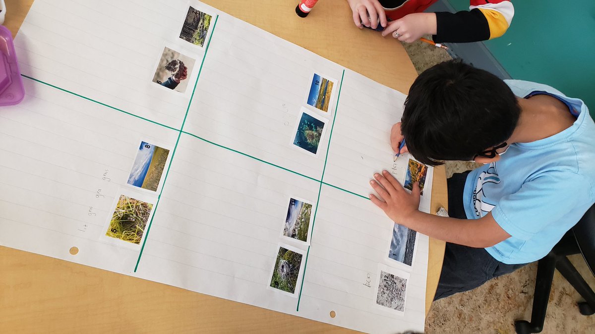 glendale_macdon's tweet photo. Trying to match photos of different nests to different habitats based on what we can observe about materials and the land. #geographicthinking #juniorornithologists @glendale_labrec https://t.co/NYPi9GC0po