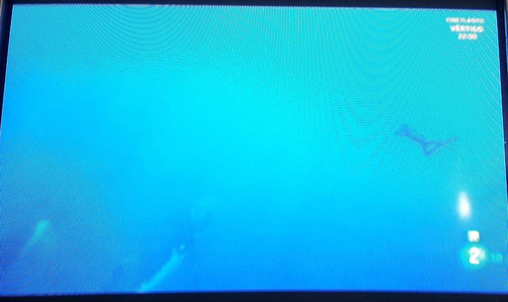AdrycManellson's tweet photo. Es Curioso Verde Mundo, visionando #PlanetaAzul2, @ourplanet, en @la2_tve me vienen a la mente las palabras de #DavidAttenborough en:
" Es la Mar Verde, y no la Azul, la que da Vida a todos los Océanos de este Planeta..".
#PaPensar.
Feliz Noche...🧚‍♂️😎 https://t.co/evUNowG3E5