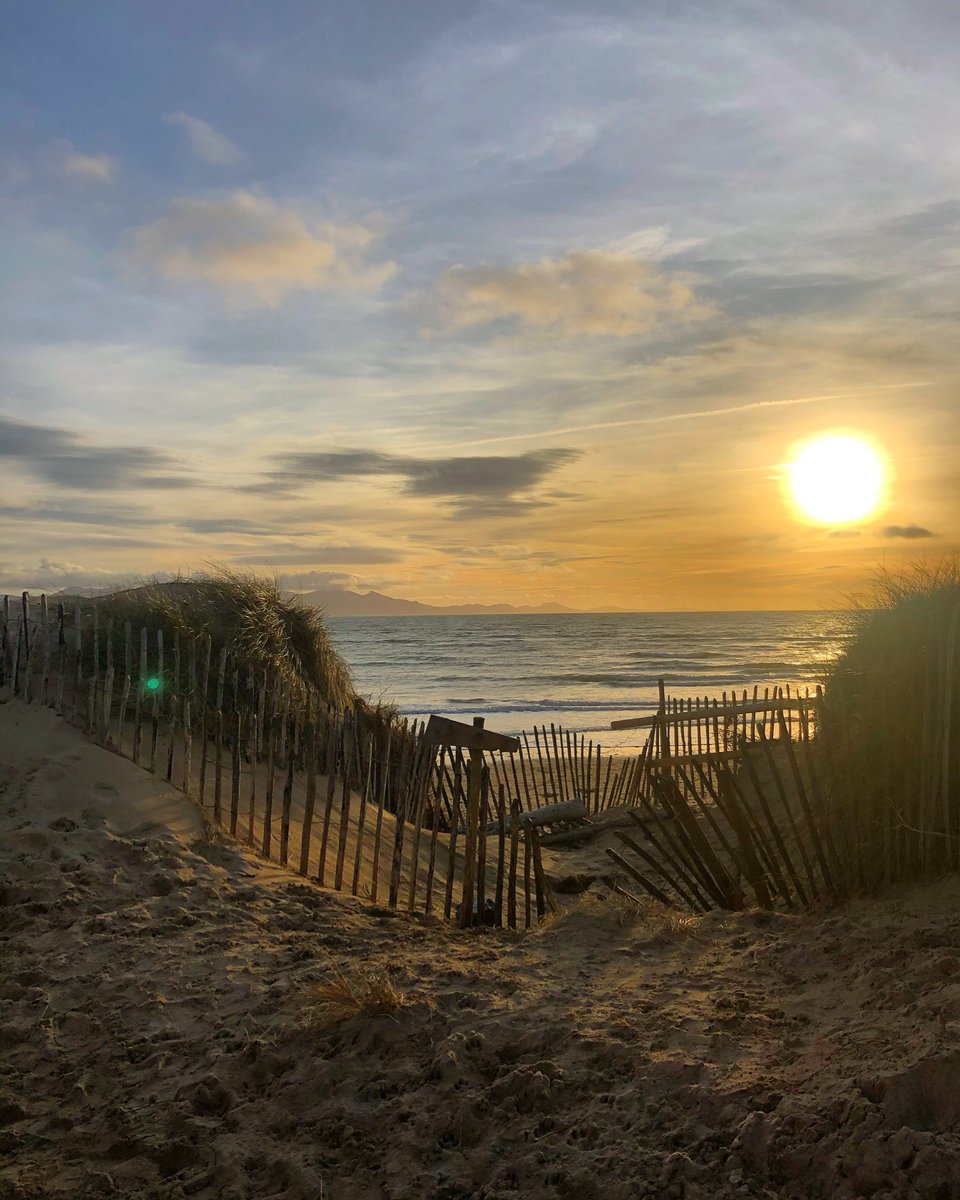 lauraparryy's tweet photo. 📍 Newborough, Isle of Anglesey 🏴󠁧󠁢󠁷󠁬󠁳󠁿 @AngleseyScMedia @Ruth_ITV @ITVWales @BBCWalesNews @BBCWales https://t.co/pzSPI5HkHG