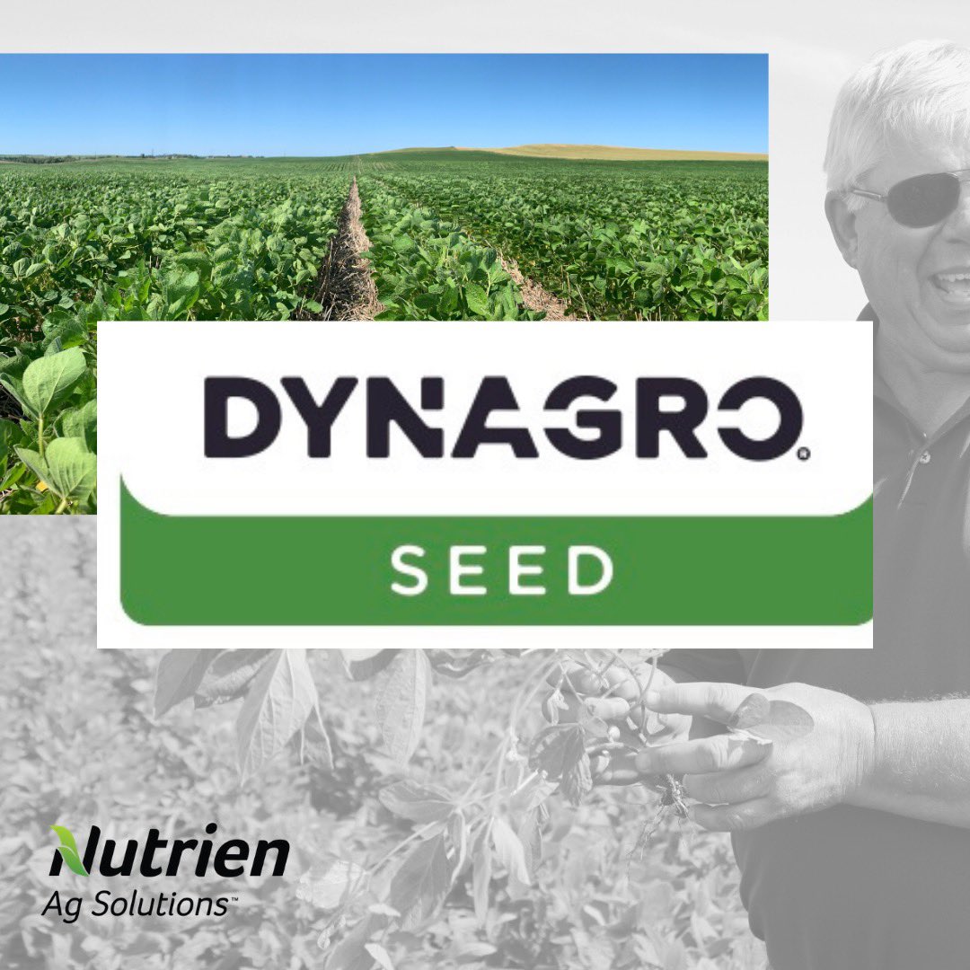 Contact your local Nutrien Ag Solutions seed expert for all your Dyna-Gro seed. 

nutrienagsolutions.com/find-location